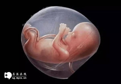 杭州代怀机构：﻿2022正常女性备孕成功，身体会出现什么样的变化呢？