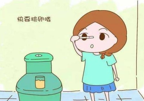 杭州供卵代怀儿子：﻿子宫肌瘤患者不能吃的水果有哪些？柚子和菠萝都要少吃