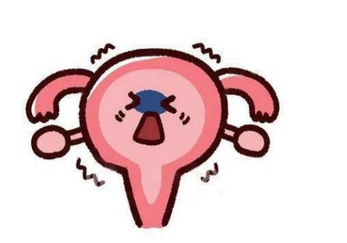 杭州代怀生男孩价格：﻿更年期月经不调怎样调理,更年期女性月经紊乱怎么办